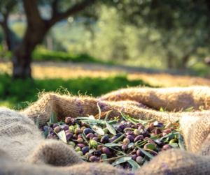 etichetta olio