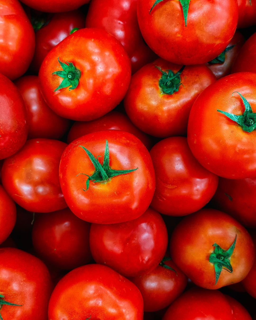 pomodori maturi estivi con olio extravergine di oliva